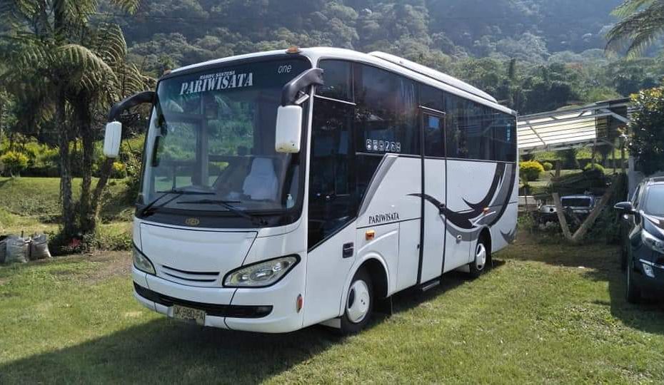 Bus Bali 28 Seat